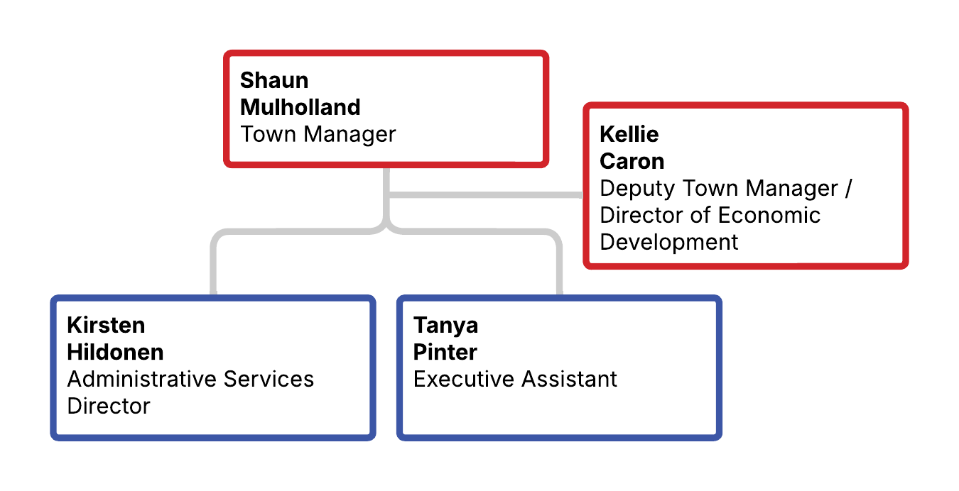 Org chart showing Shaun Mulholland as Town Manager with three direct reports in the department