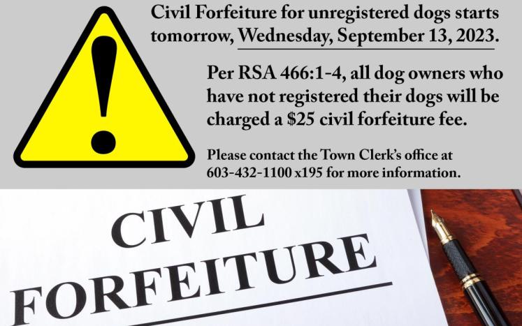Civil forfeiture